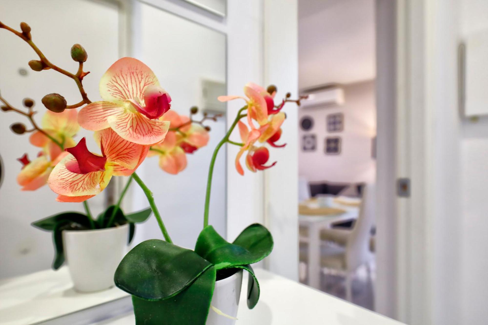 Encanto En La Juderia: Apartamento Con Patio Córdova Exterior foto
